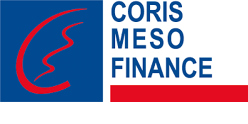 CORIS MESO FINANCE (CMF) recrute pour ces 05 postes (24 Janvier 2025)