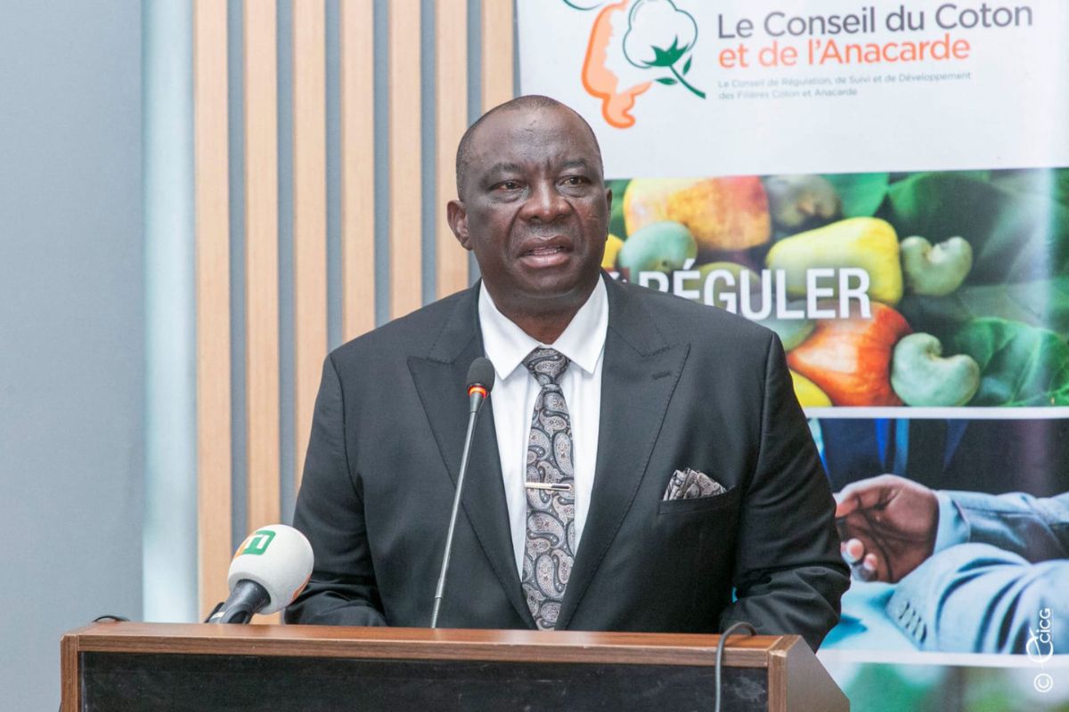 Côte d’Ivoire/Filière anacarde : le ministre Adjoumani lance un appel aux opérateurs économiques nationaux et internationaux