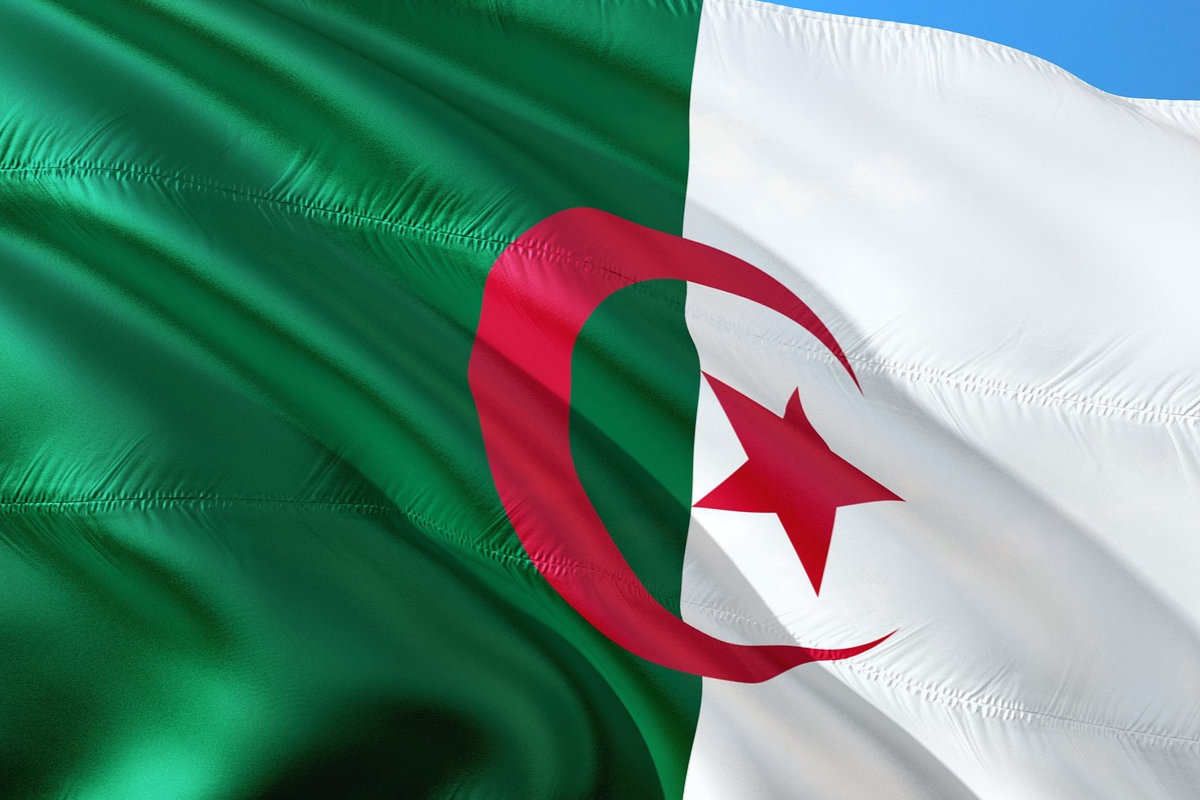 ‎Importation de voitures en Algérie : très bonne nouvelle pour les particuliers, la douane annonce...