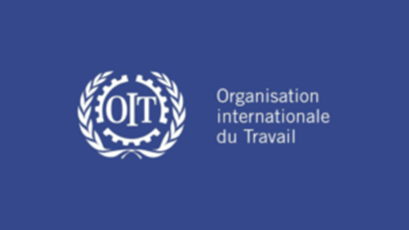 Le Bureau International du Travail (BIT) recrute pour ce poste (07 Octobre 2024)