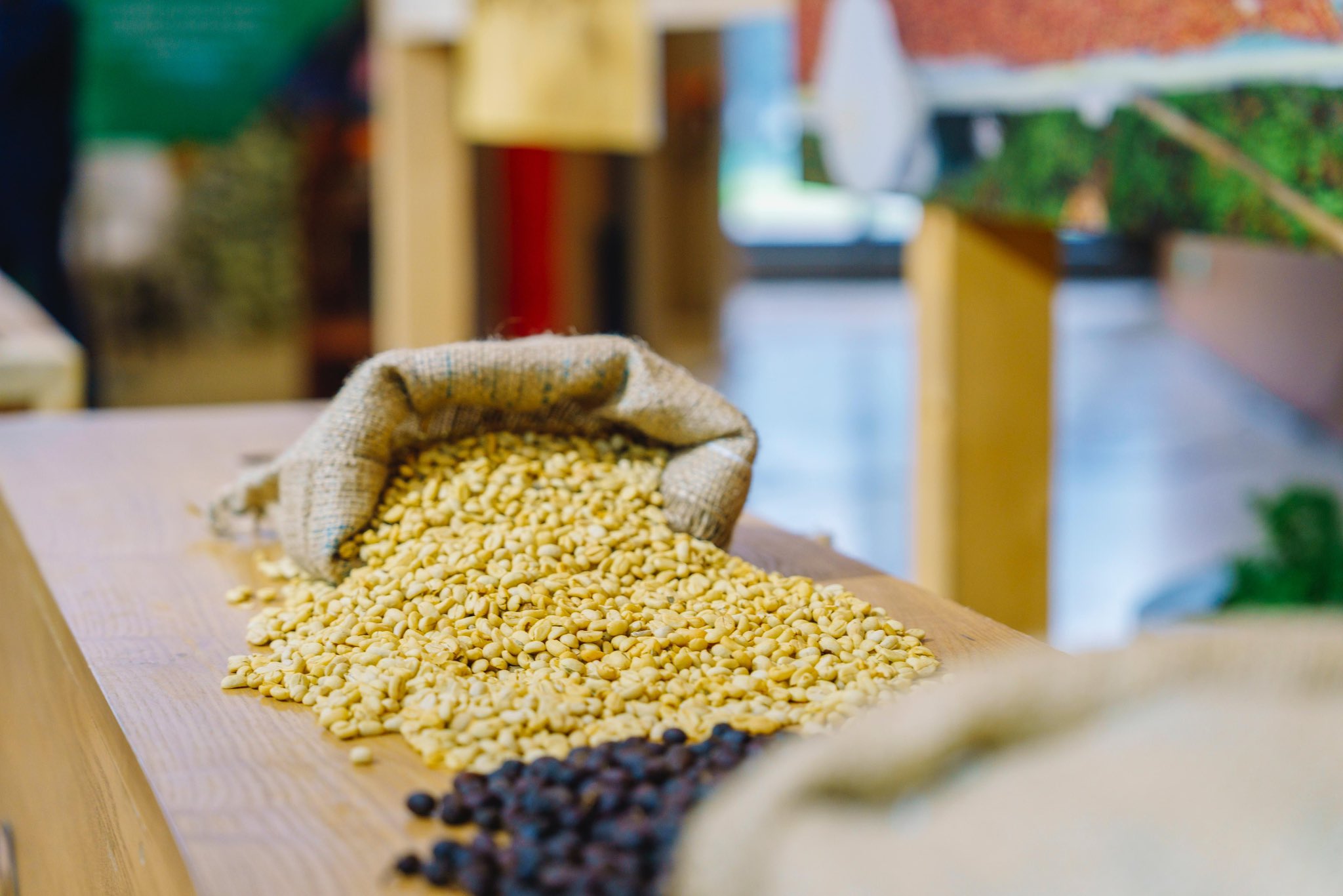 Ce pays africain met en terre 8,5 milliards de plants de café