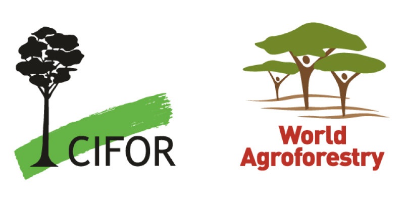 Concours photo du Centre pour la Recherche Forestière Internationale CIFOR-ICRAF 2024