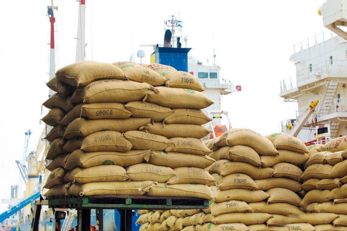 Côte d’Ivoire/Commerce extérieur : la levée de la mesure de suspension d’exportation de banane, manioc et d’igname reste en vigueur jusqu’à…