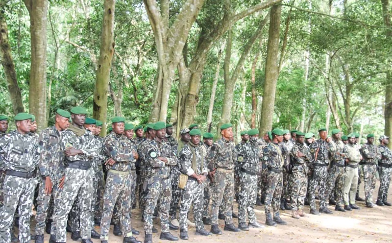 Côte d’Ivoire: concours de recrutement exceptionnel d’Agents Techniques des eaux et forêts de niveau BAC Session 2024