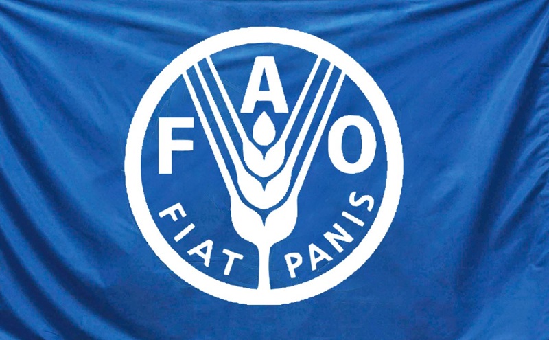 La FAO recrute pour ce poste (02 Décembre 2024)