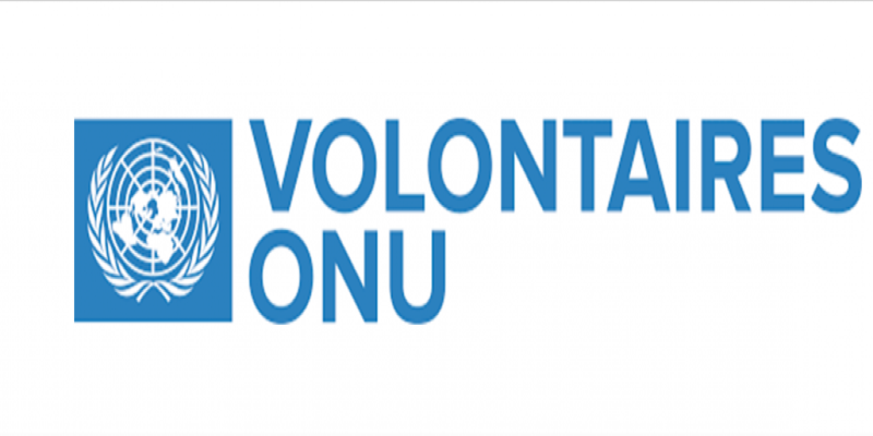 Le Programme des Volontaires des Nations Unies (VNU) recrute pour ces 04 postes (01 Décembre 2024)