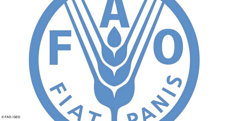 La FAO recrute pour ce poste (03 Janvier 2025)