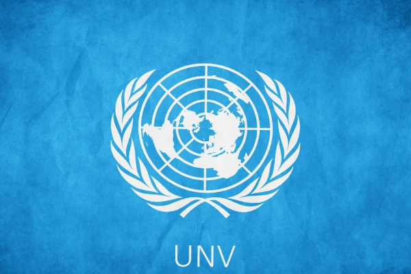 Le Programme des Volontaires des Nations Unies (VNU) recrute pour ce poste (15 Janvier 2025)