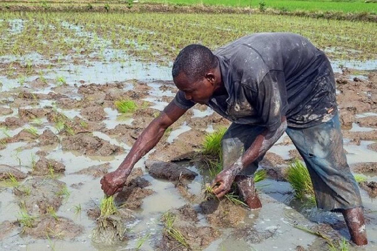 Désastres naturels : plus de 3000 milliards envolés pour l’agriculture Bénin : Patrice Talon prend de nouvelles mesures pour soutenir les agriculteurs