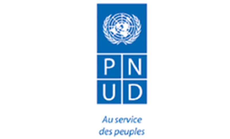 Appel à candidatures mondial pour 2025 : Programme de stage numérique du PNUD