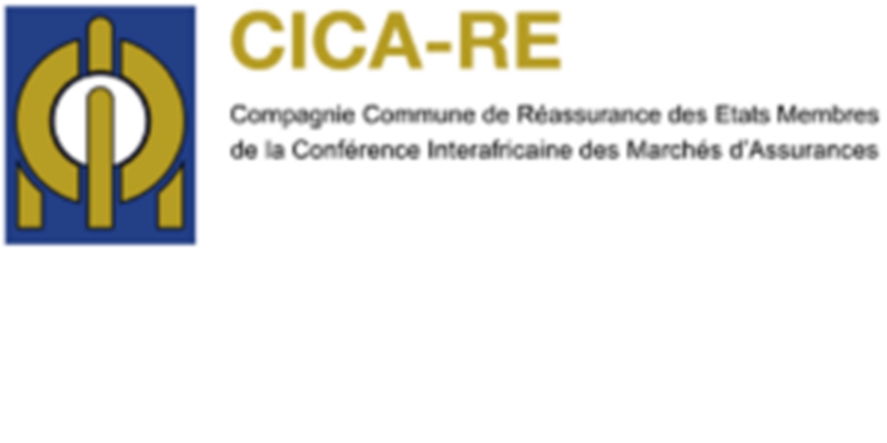 CICA-RE recrute pour ce poste (19 Février 2025)