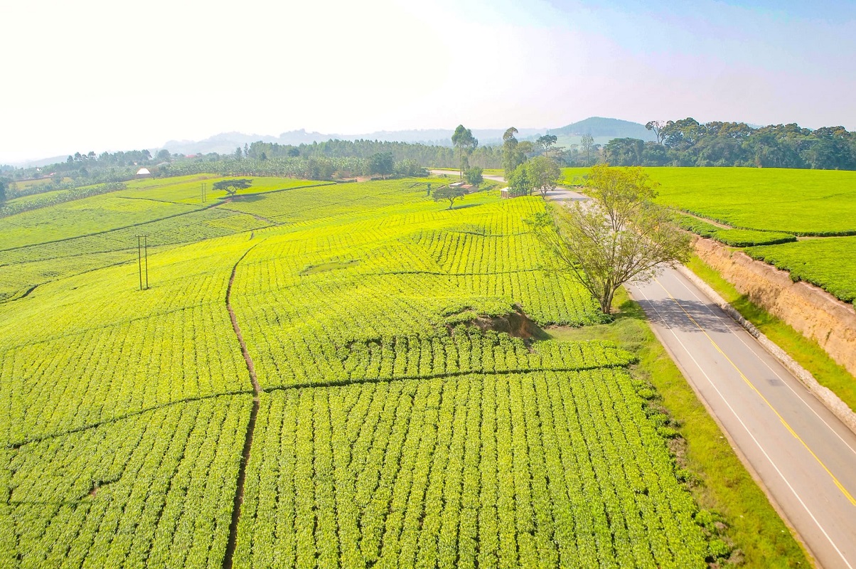 Ce pays d'Afrique du Nord réussit à exporter des produits agricoles vers l’Europe ; La Zambie veut s’en inspirer