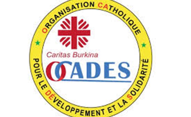 L’Organisation Catholique pour le Développement et la Solidarité (OCADES Caritas) recrute pour ces 3 postes (2 février 2025)