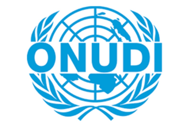 L’ONUDI recrute pour ces 3 postes (09 Mars 2025)