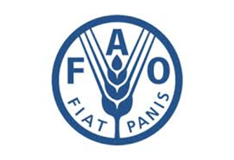 La FAO recrute pour ce poste (18 Mars 2025)