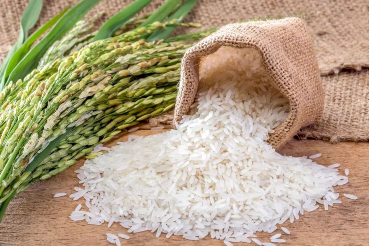 Incroyable, ce pays n’a importé un seul grain de riz en 2025