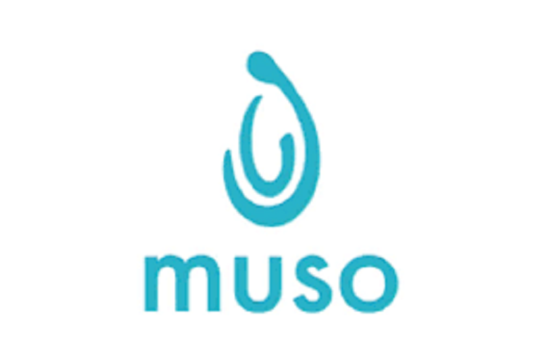 L’ONG MUSO HEALTH recrute un stagiaire (07 Mars 2025)