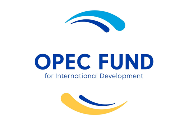 Programme de développement des jeunes professionnels (YPDP) du Fonds OPEP
