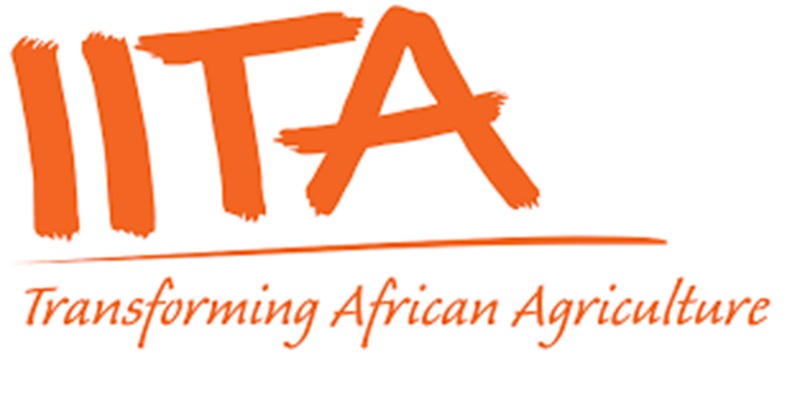 08 Postes vacants à l’IITA – Institut international d’agriculture tropicale (29 avril 2025)