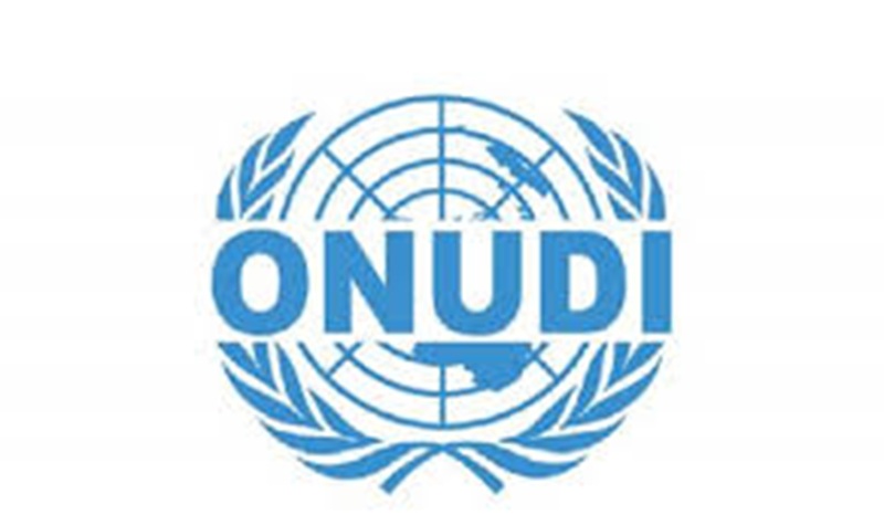 L’Organisation des Nations Unies pour le Développement Industriel (ONUDI) recrute (17 avril 2025)