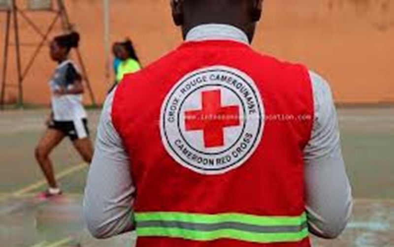 Postes à pourvoir à l’organisation humanitaire CRF (22 avril 2025)