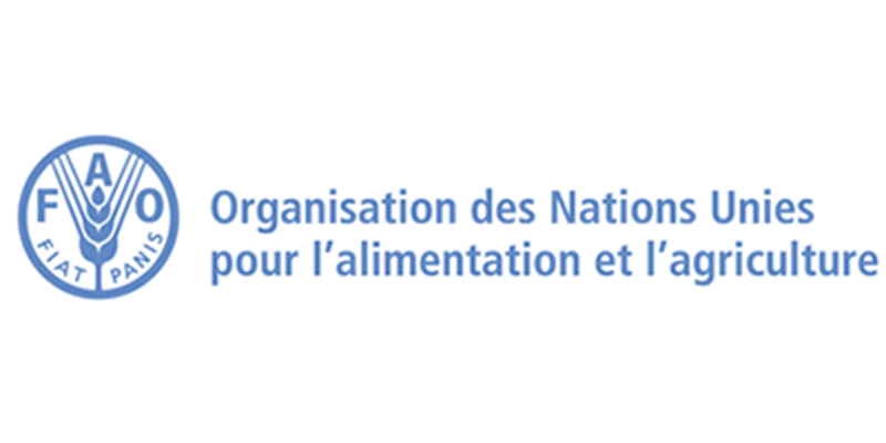 Rejoignez la liste des Consultants de la FAO- (07 Avril 2025)