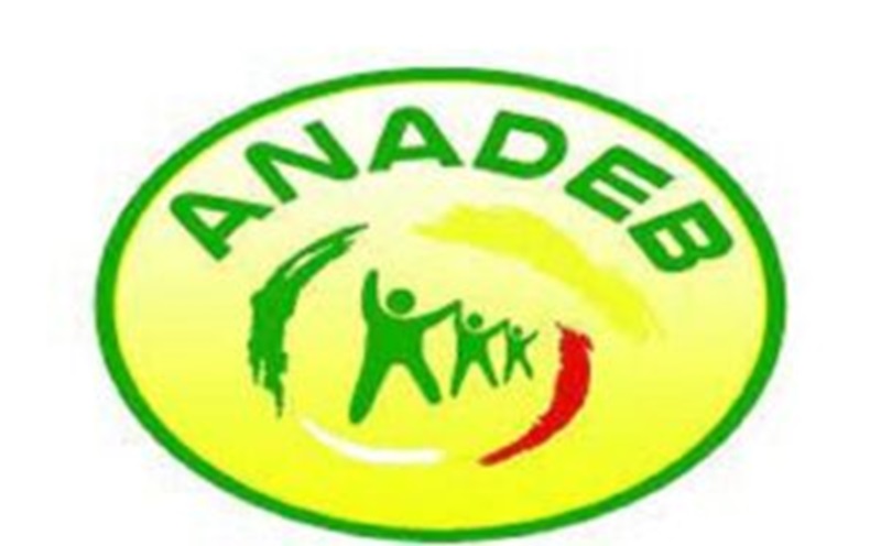 Togo : recrutement de l’Agence Nationale d’Appui au Développement à la Base (ANADEB) – 04 postes (09 avril 2025)