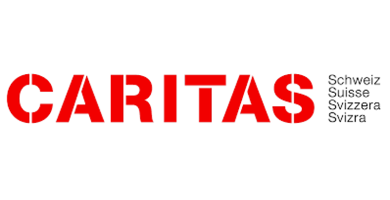 AVIS DE RECRUTEMENT DE CONSULTANTS/EXPERTS POUR UNE MISSION DE L’ONG INTERNATIONALE CARITAS SUISSE (19 Septembre 2025)