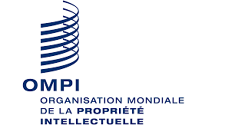 L’Organisation Mondiale de Propriété Intellectuelle (OMPI) recrute (12 Mai 2025)