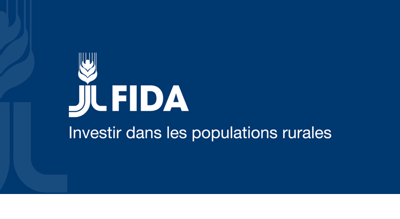 Le Fonds International du Développement Agricole (FIDA) recrute un Volontaire  (24 Mai 2025)