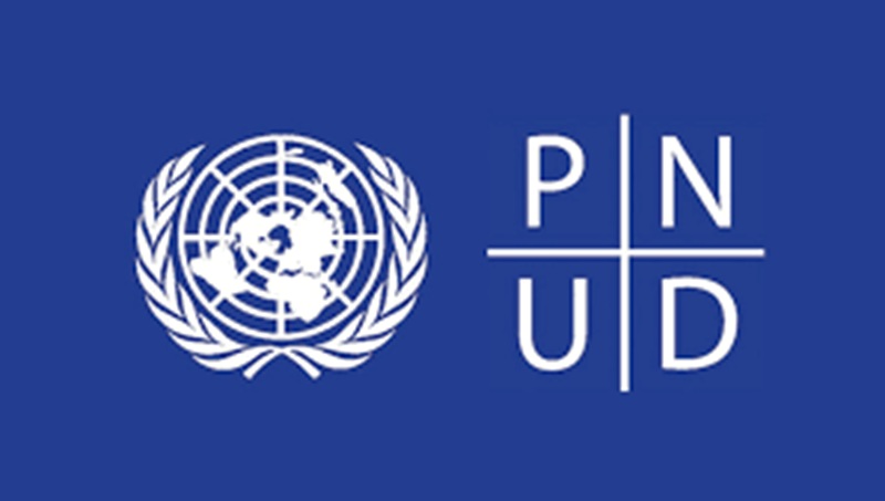 Le PNUD recrute un consultant national (13 mai 2025)
