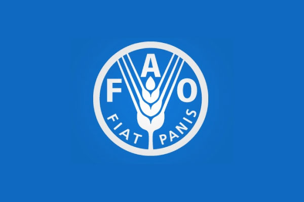Afrique du Nord : la FAO recrute pour ce poste (21 juin 2025)