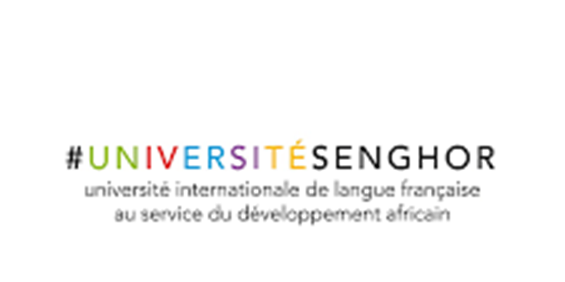 Appel à candidatures : Diplôme Universitaire en Archéologie et Patrimoine (DUAP) de l’Université Senghor
