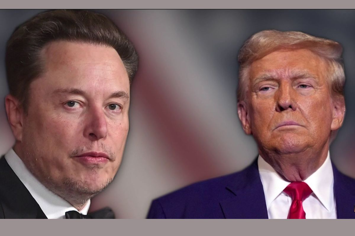 Donald Trump Elon Musk