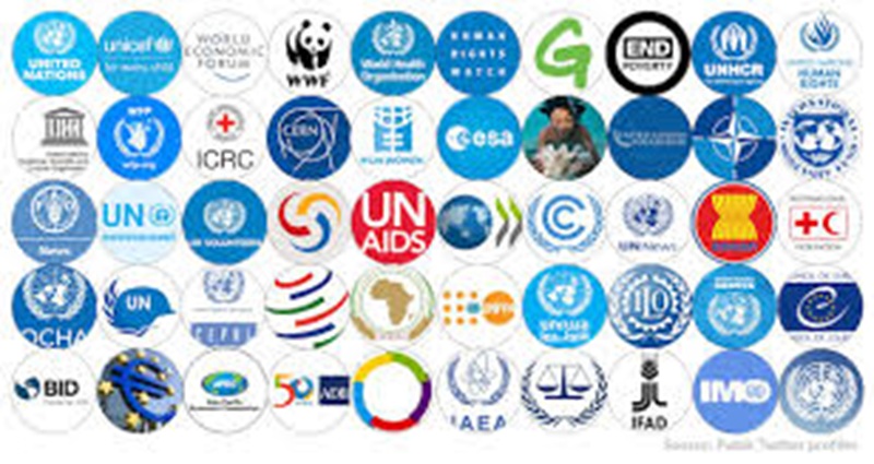 Faire carrière dans les organisations internationales : voici ce qu’il vous faut savoir
