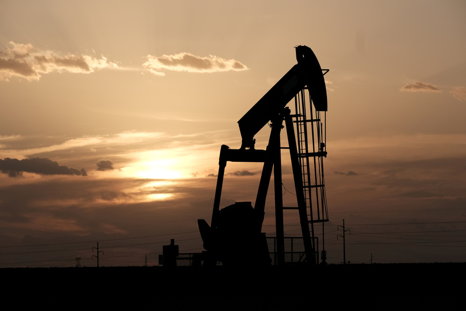 Les cours du pétrole sont stables ce lundi 15 décembre 2025, dans l’attente des nouvelles négociations sur l’Ukraine Pétrole : la Côte d’Ivoire prend les rênes de l'APPO Pétrole Russie Les cours du pétrole montent mercredi, les investisseurs s’inquiétant d’une baisse de l’offre russe après de nouveaux commentaires de