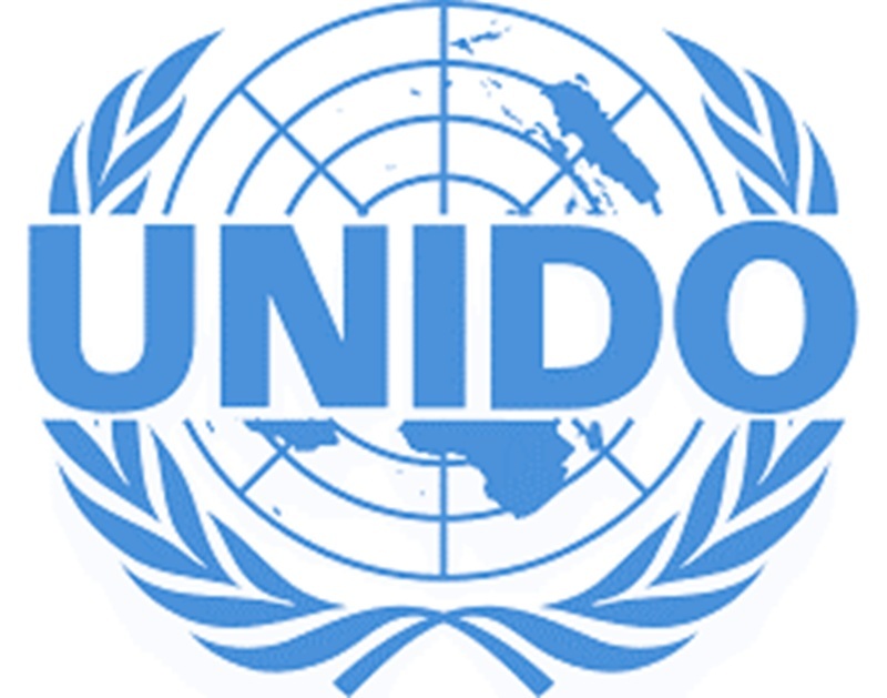 Poste vacant à l’Organisation des Nations Unies pour le Développement Industriel (ONUDI) (13 juin 2025)