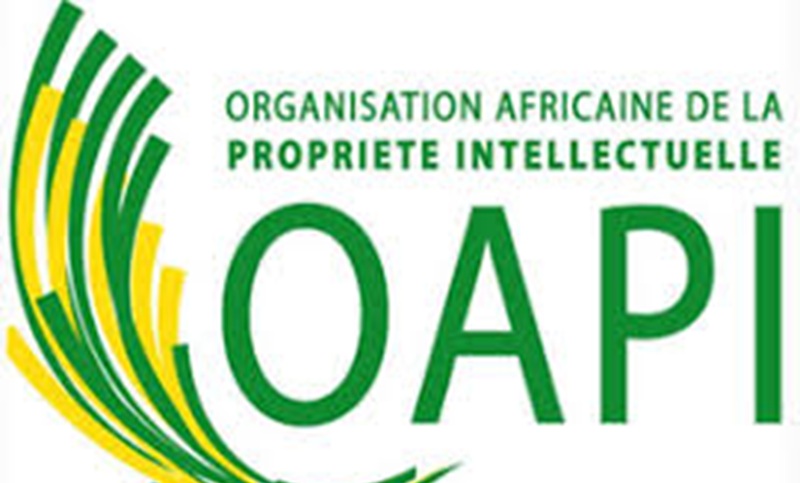 Avis de recrutement : Des postes à pourvoir à l’Organisation Africaine de la Propriété Intellectuelle (OAPI) (11 Juillet 2025)