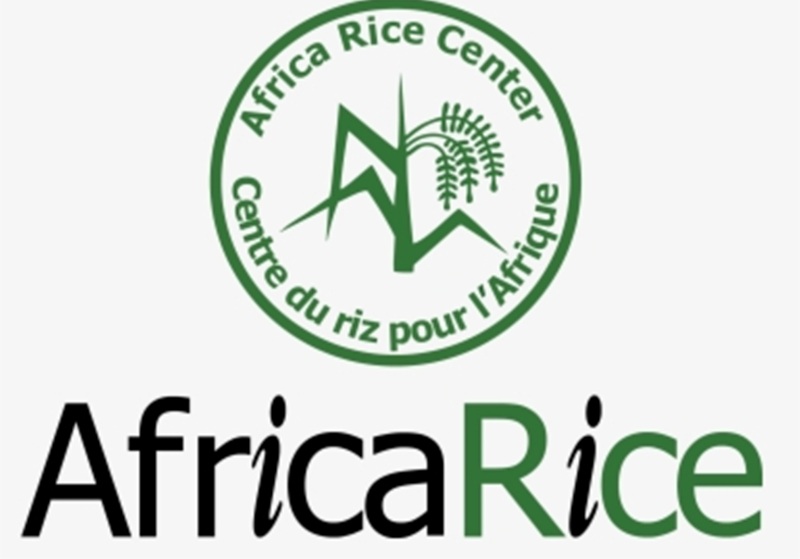 Des postes à pourvoir au Centre du riz pour l’Afrique (AfricaRice) (26 Juillet 2025)