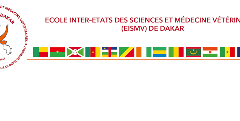 Ecole Inter-Etats des Sciences et Médecine Vétérinaires : Ouverture de l’inscription à plusieurs Masters (M2) 2025-2026