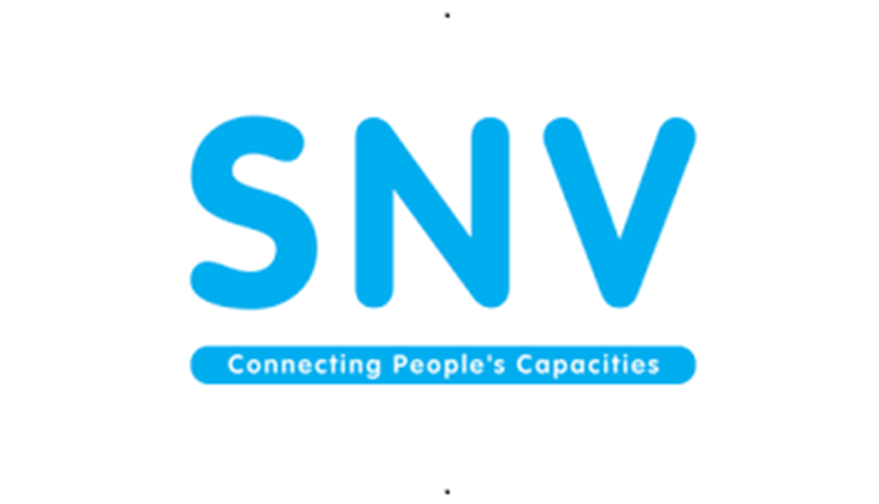 L’ONG néerlandaise de développement SNV recrute (01  Août 2025)