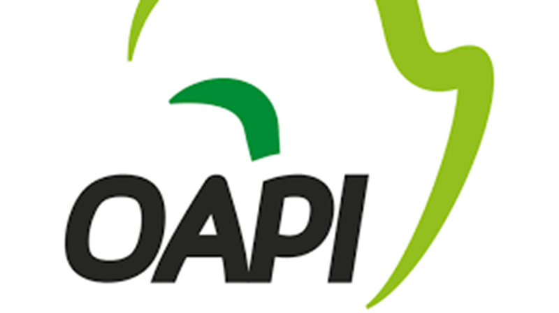 L’Organisation Africaine de la Propriété Intellectuelle (OAPI) recrute pour ces 03 postes (09 août 2025)