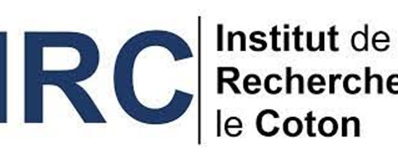 IRC - Appel à candidatures de l'Institut de Recherche sur le Coton pour le recrutement à titre contractuel