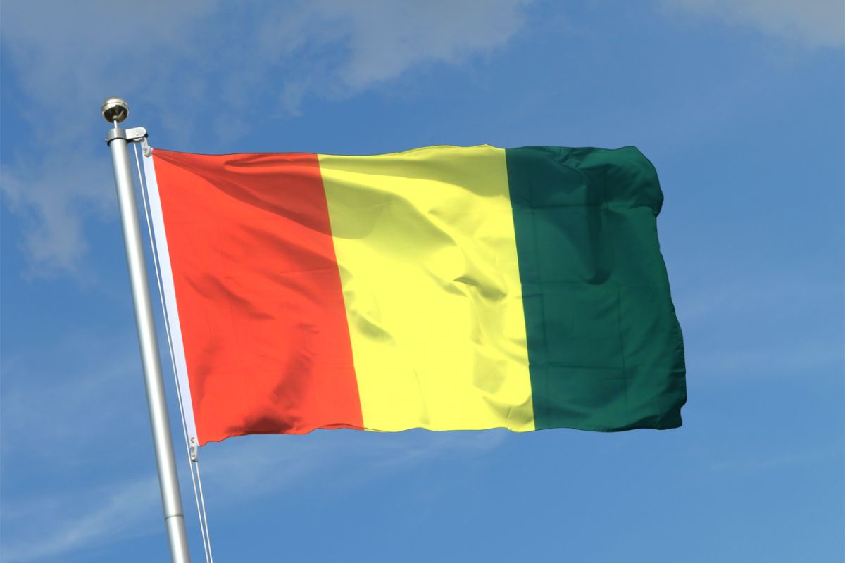 ‎Présidentielle 2025 en Guinée : la caution fixée à 900 millions de...