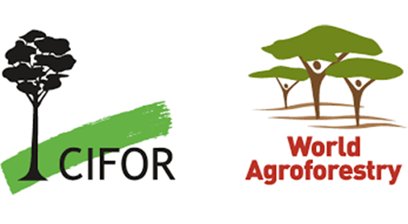 Appel à candidatures pour le programme de Doctorat et de jeunes chercheurs du Centre de Recherche Forestière Internationale CIFOR-ICRAF
