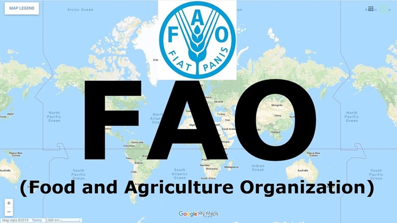 Des opportunités à saisir à la FAO – l’Organisation des Nations Unies pour l’alimentation et l’agriculture (24 Novembre 2025)