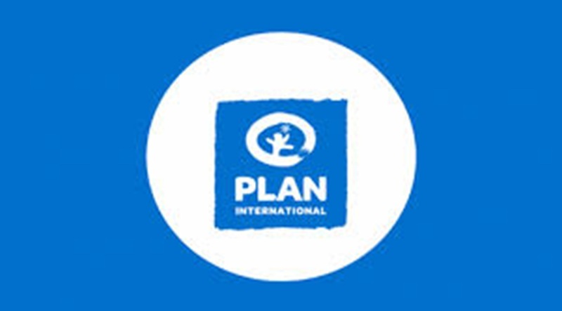 L’ONG PLAN INTERNATIONAL recrute un Consultant (16 novembre 2025)