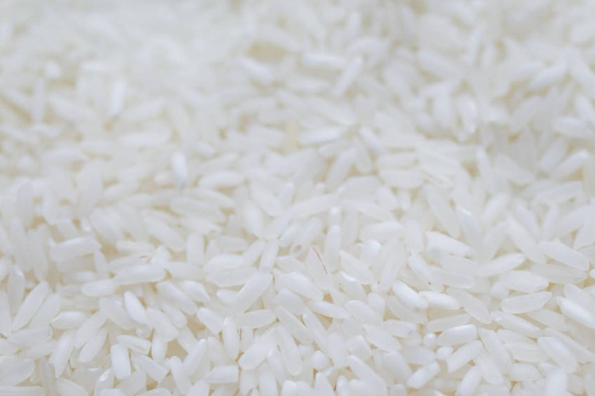 riz