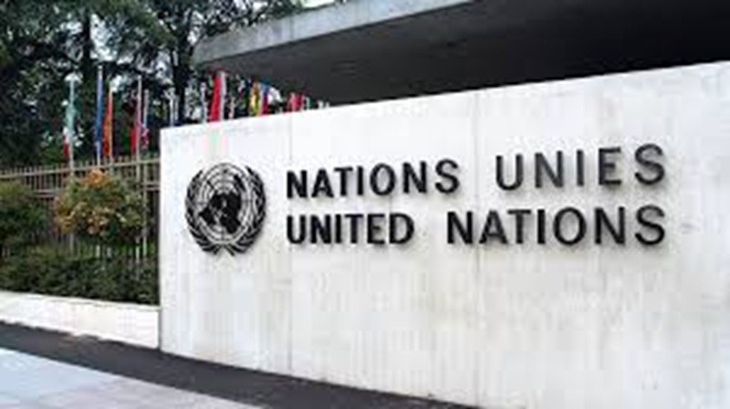Offre de stage aux Nations Unies : postulez en ligne pour profiter de cette opportunité unique (15 décembre 2025)