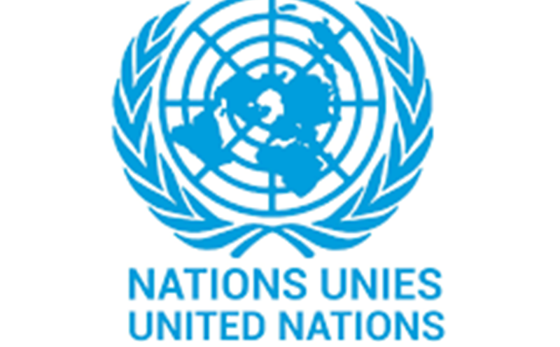 Stage Pré-embauche du Programme des Nations Unies (ONU) (14 Novembre 2025)